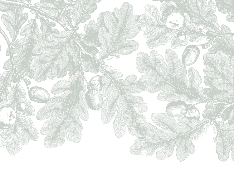 Dark green leaf pattern on a transparent background