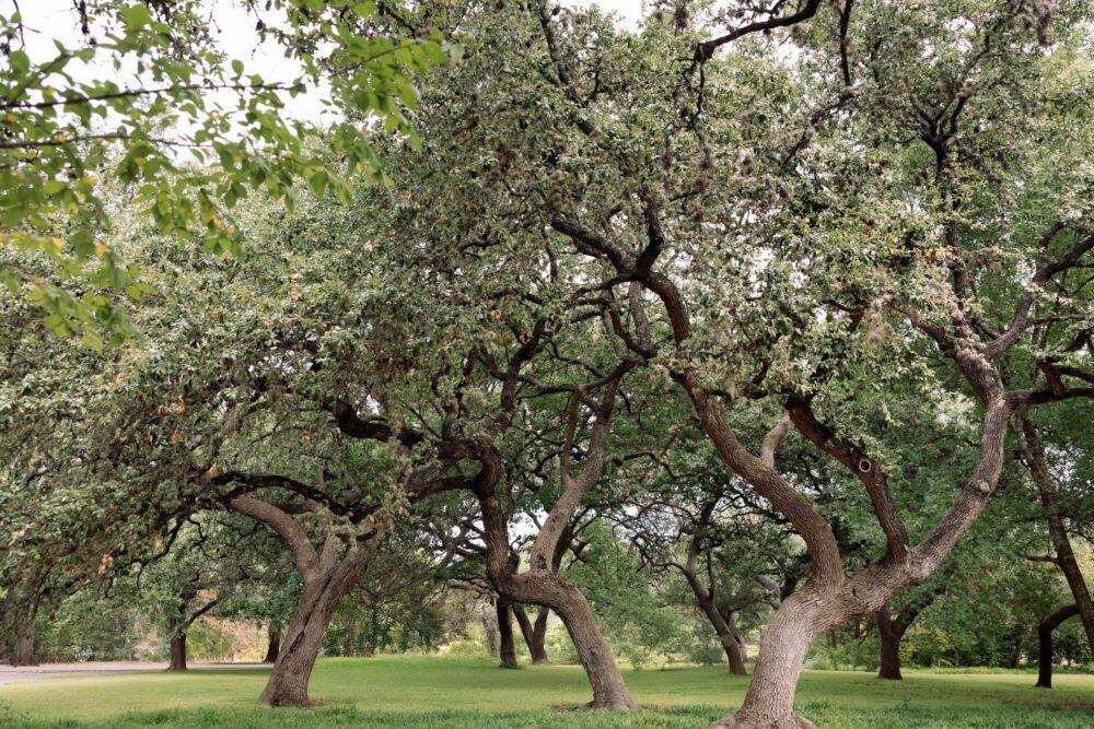 plan-event-grounds-amenities
