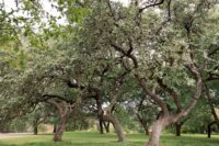plan-event-grounds-amenities